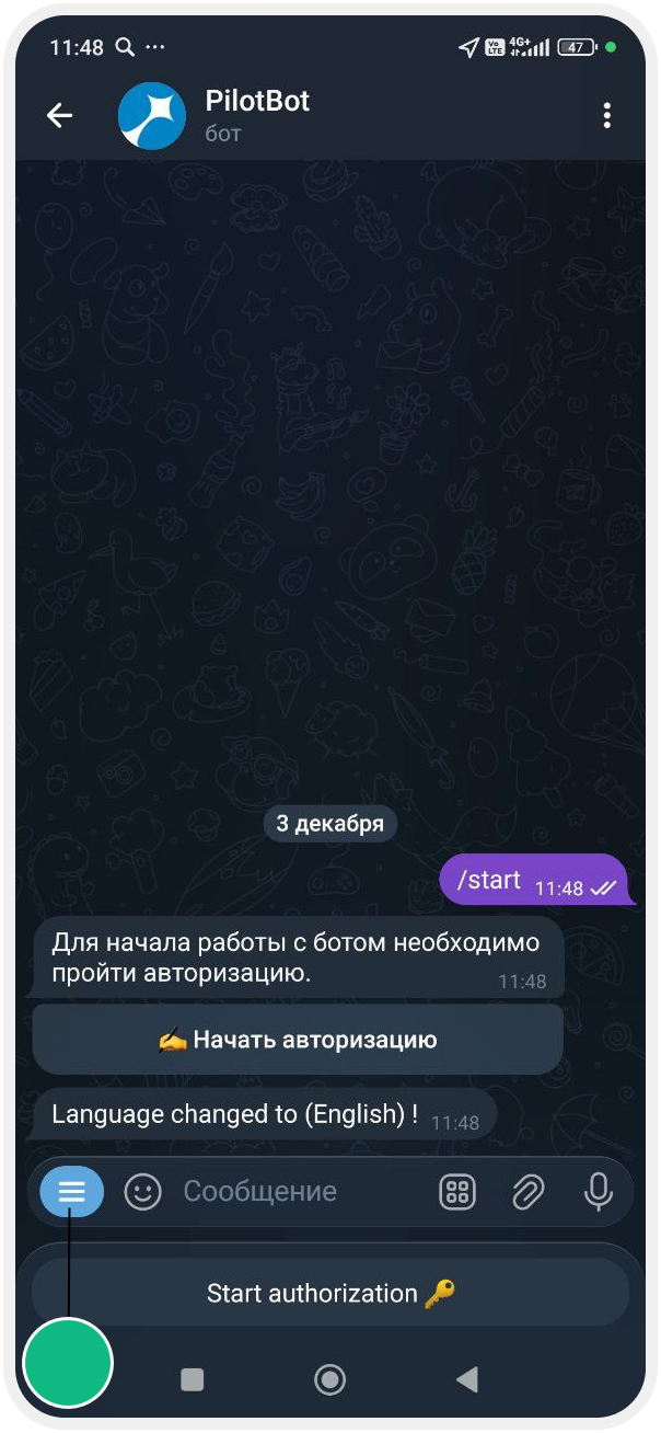 How to сonnect and use the chat bot
