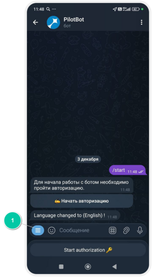 How to сonnect and use the chat bot