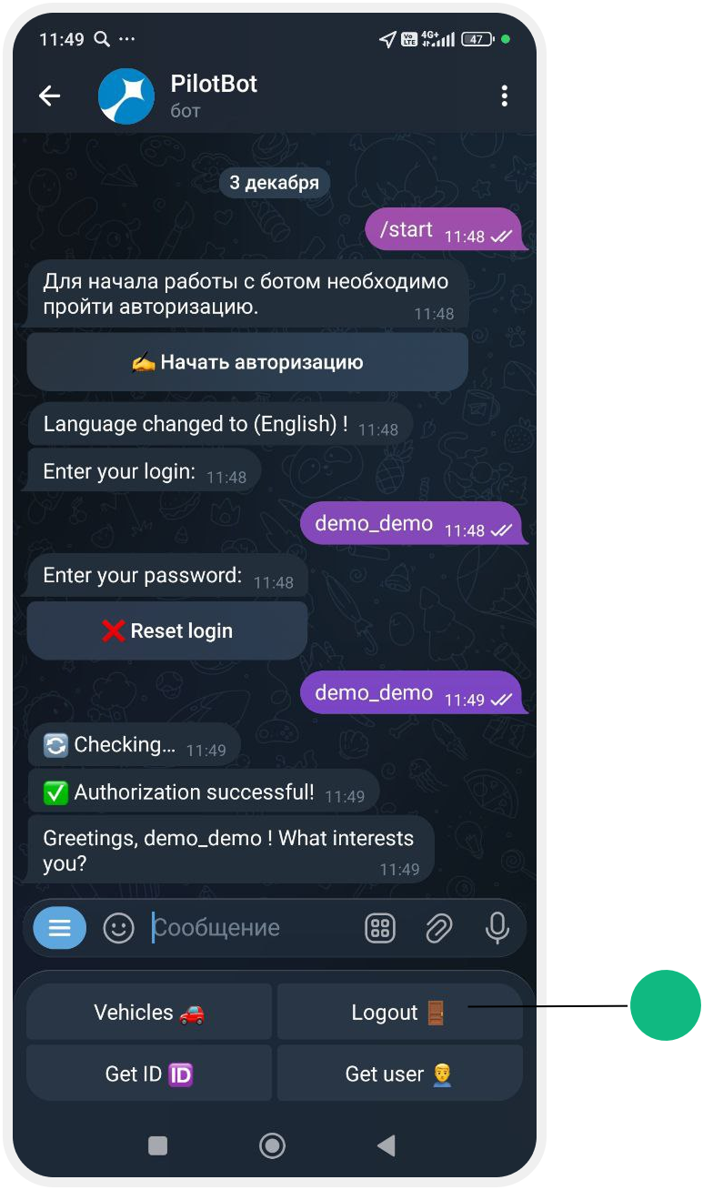 How to сonnect and use the chat bot