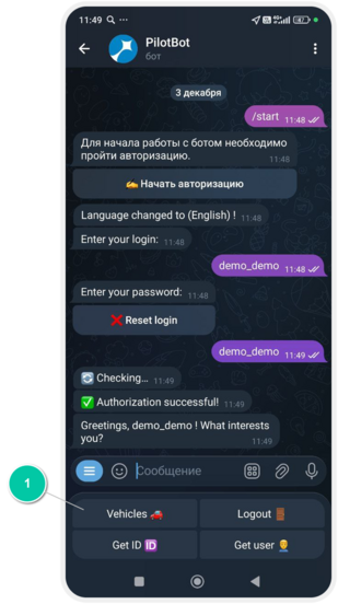 How to сonnect and use the chat bot
